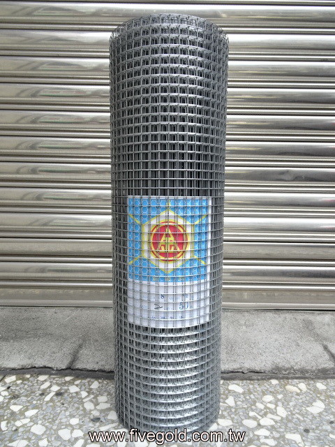 DSC09537.JPG